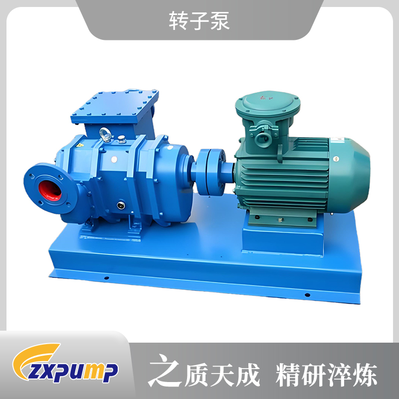 转子泵